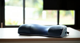 10 Best Best Premium Travel Pillow in 2026