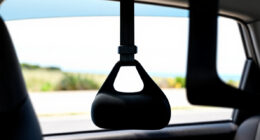 10 Best Pet Seat Belt for Road Trips in 2026