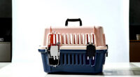 13 Best Best Premium Carry On Pet Carrier in 2026