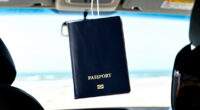 13 Best Best Premium Passport Holder in 2026
