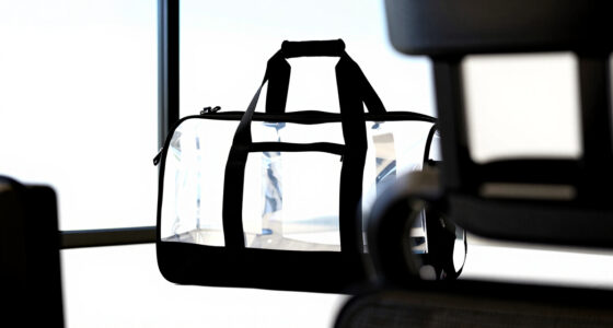 13 Best Personal Item Bag for Frontier Airlines in 2026