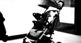 13 Best Travel Stroller for Flying in 2026