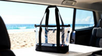 14 Best Best Premium Family Beach Bag in 2026