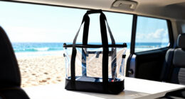 14 Best Best Premium Family Beach Bag in 2026