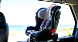 14 Best Car Seat Travel Bag in 2026