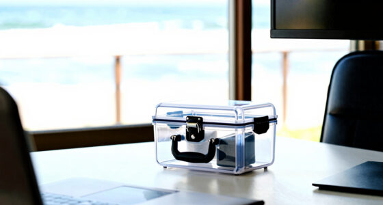 15 Best Best Premium Travel Safe Box in 2026