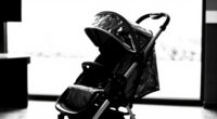 15 Best Best Stroller Travel Bag in 2026