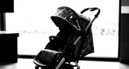 15 Best Best Stroller Travel Bag in 2026