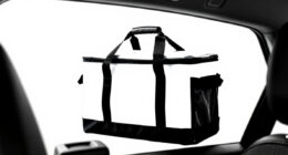 15 Best Cooler Bag For Car Travel In 2026