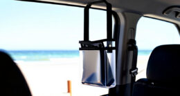 15 Best Over Door Organizer for Cruise Cabin in 2026