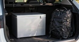 travel friendly cooling options