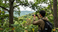 4 Kentucky Adventures That Will Surprise You