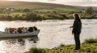 Cows are actually really good swimmers and in Ireland they’re taken by boat to graze on offshore islands.