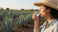 11 Best Agave Spirits in 2026