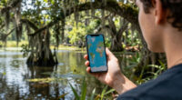 Allen Parish, Louisiana, United States Surges In Global Coverage
