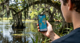 Allen Parish, Louisiana, United States Surges In Global Coverage