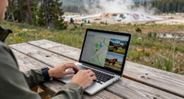 Yellowstone National Park Surges In Global Coverage