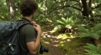 New Forest, Hampshire, United Kingdom Surges In Global Coverage