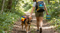 11 Best Pet Travel Accessories in 2026 — Comfort, Convenience, and Safety on the Go