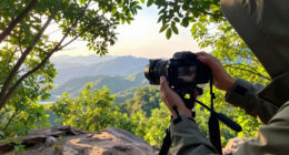 National Park Service Surges In Global Coverage