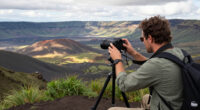 Ngorongoro, Arusha, Tanzania Surges In Global Coverage