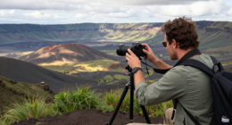 Ngorongoro, Arusha, Tanzania Surges In Global Coverage